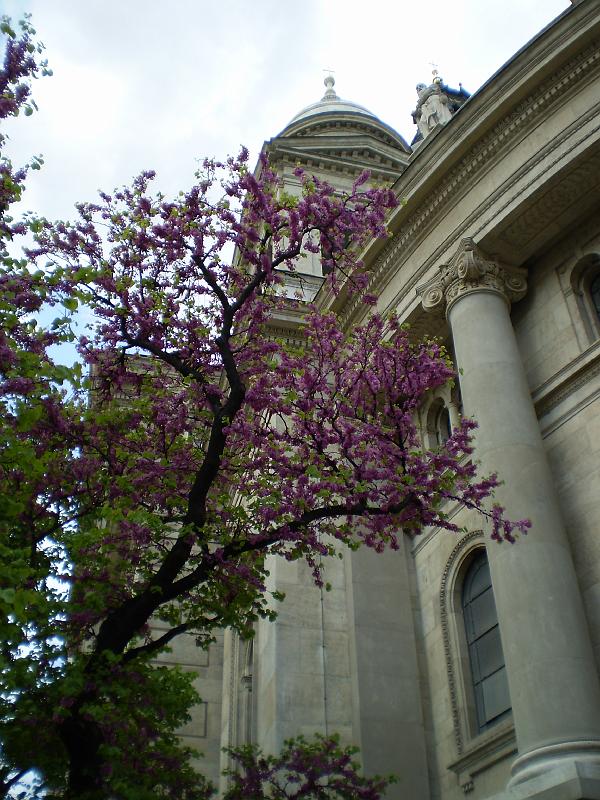 bp_2 010.JPG - St. Stephen's Basilica